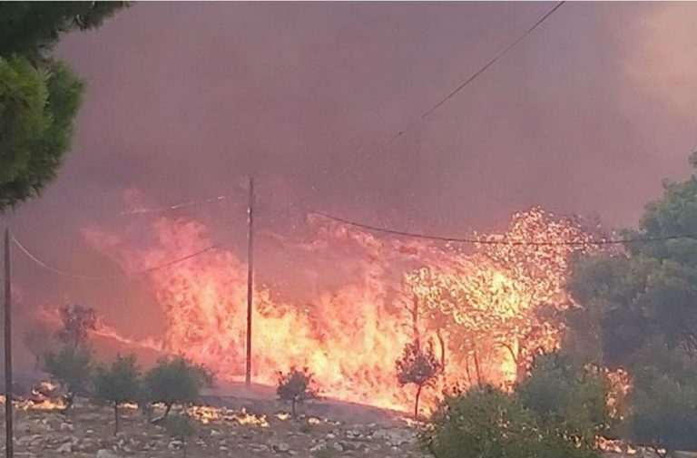 Αναζωπυρώθηκε η πυρκαγιά στον Κάνδανο Χανίων – Κάηκαν σπίτια – Κινδυνεύει το Κεδρόδασος