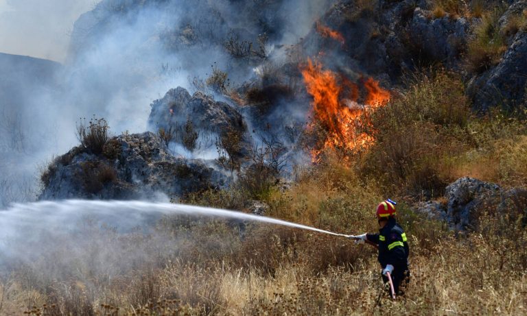 Τώρα: Φωτιά σε δασική περιοχή στην Αχαΐα