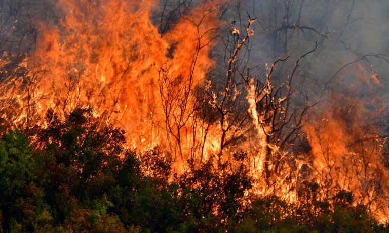 Πυρκαγιές: Πολύ υψηλός κίνδυνος την Παρασκευή – Ο χάρτης με τις «πορτοκαλί» περιοχές