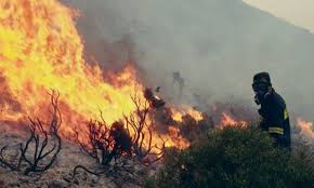 Μεγάλη φωτιά σε δασική έκταση στις Ροβιές Ευβοίας.