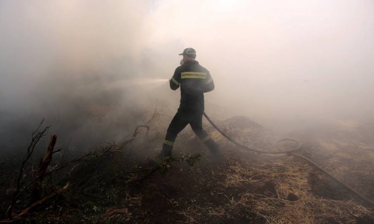 Εύβοια-Τώρα: Πυρκαγιά στην περιοχή του Πυξαριά