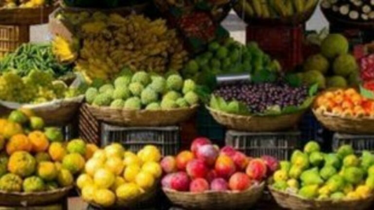 Αυξημένες οι εισαγωγές φρούτων και λαχανικών – Κίνδυνος να εγκαταλειφθούν οι καλλιέργειες αν δεν ληφθούν μέτρα